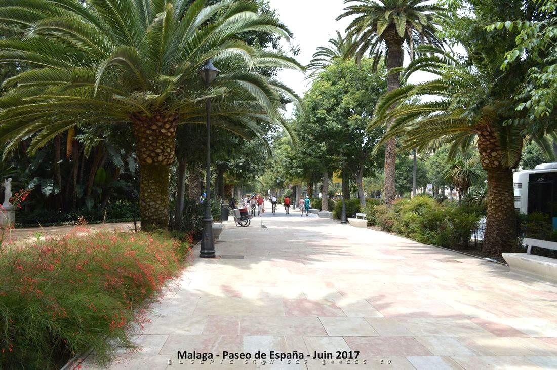 244- Malaga paseo de Espana.JPG